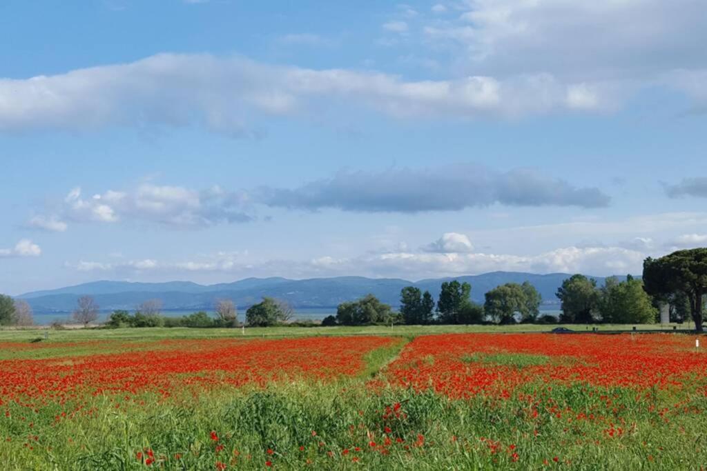 Bellavista La Tua Romantica Vacanza Sul Trasimeno Castiglione del Lago Exterior foto