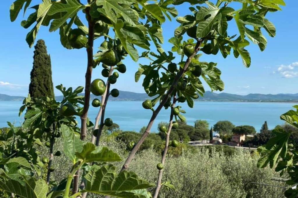 Bellavista La Tua Romantica Vacanza Sul Trasimeno Castiglione del Lago Exterior foto