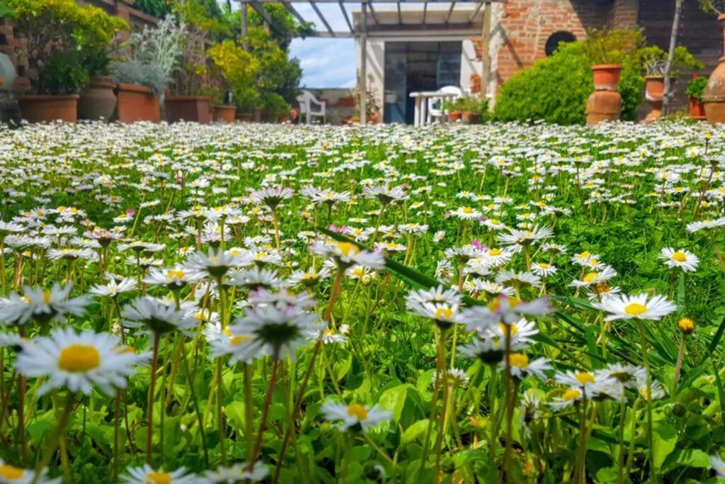 Bellavista La Tua Romantica Vacanza Sul Trasimeno Castiglione del Lago Exterior foto