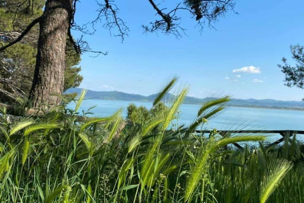 Bellavista La Tua Romantica Vacanza Sul Trasimeno Castiglione del Lago Exterior foto