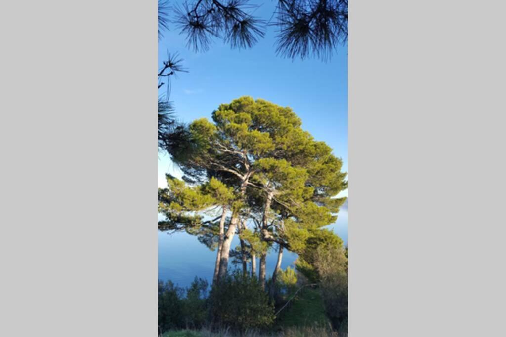 Bellavista La Tua Romantica Vacanza Sul Trasimeno Castiglione del Lago Exterior foto