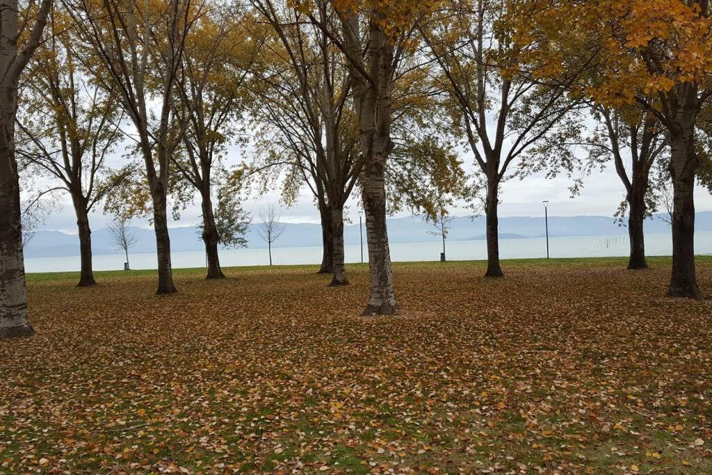 Bellavista La Tua Romantica Vacanza Sul Trasimeno Castiglione del Lago Exterior foto