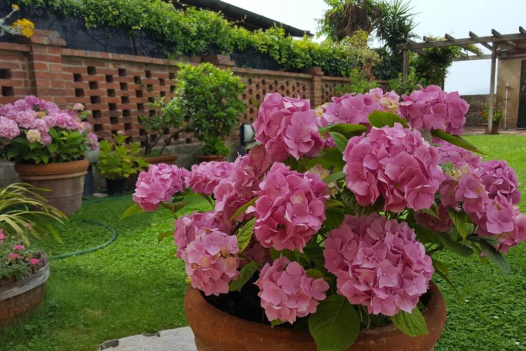 Bellavista La Tua Romantica Vacanza Sul Trasimeno Castiglione del Lago Exterior foto