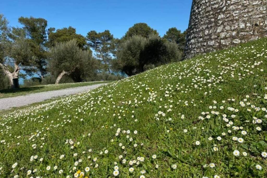 Bellavista La Tua Romantica Vacanza Sul Trasimeno Castiglione del Lago Exterior foto