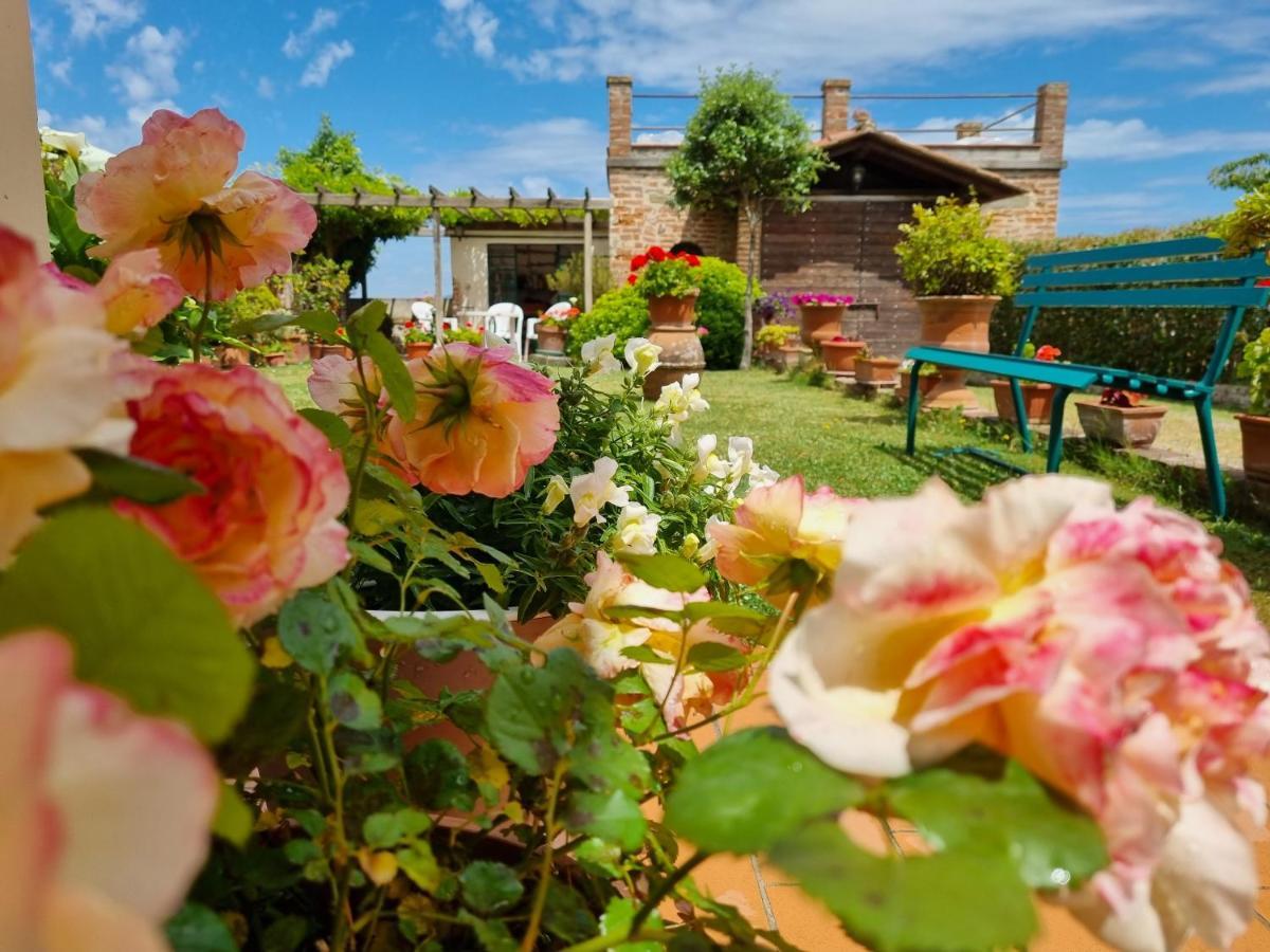 Bellavista La Tua Romantica Vacanza Sul Trasimeno Castiglione del Lago Exterior foto