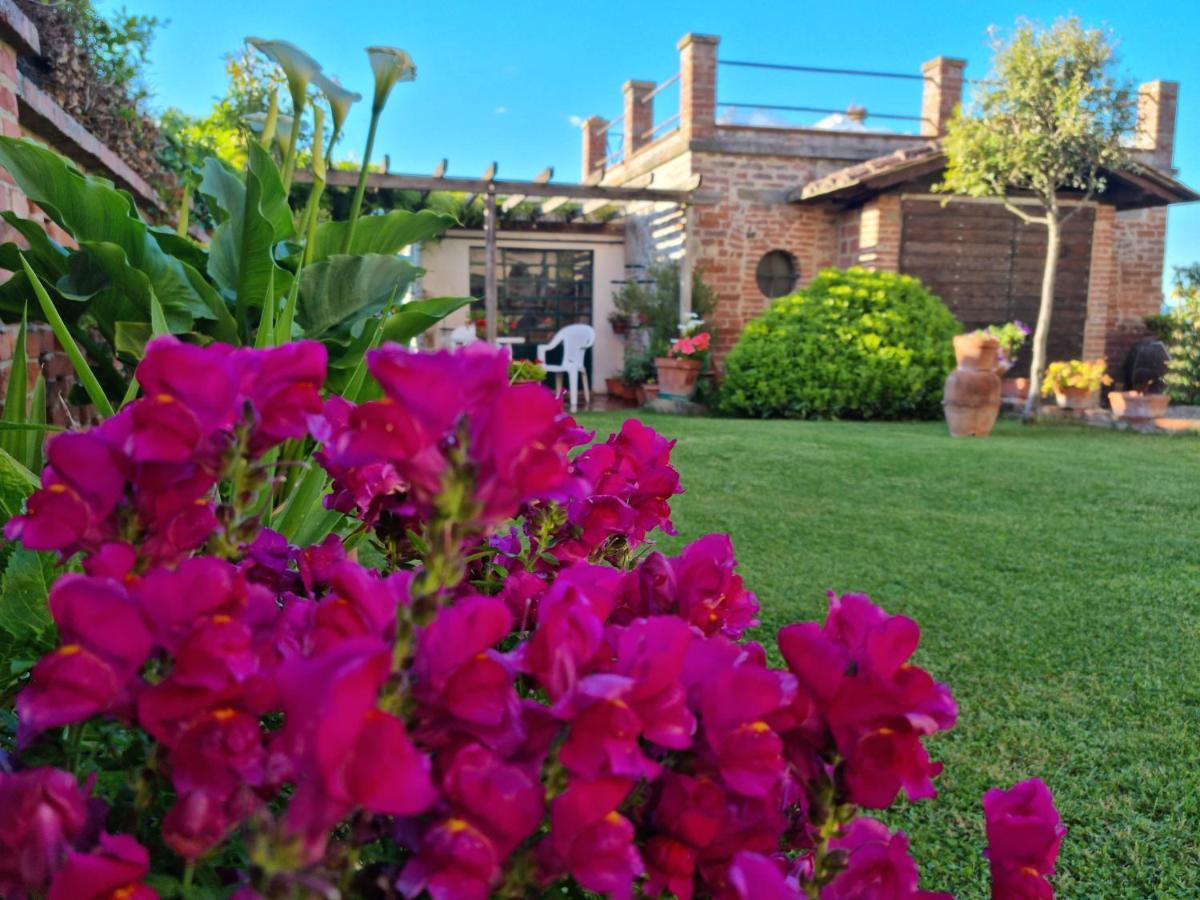 Bellavista La Tua Romantica Vacanza Sul Trasimeno Castiglione del Lago Exterior foto